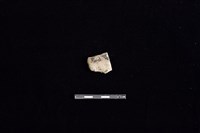 陶片藏品圖，第1張